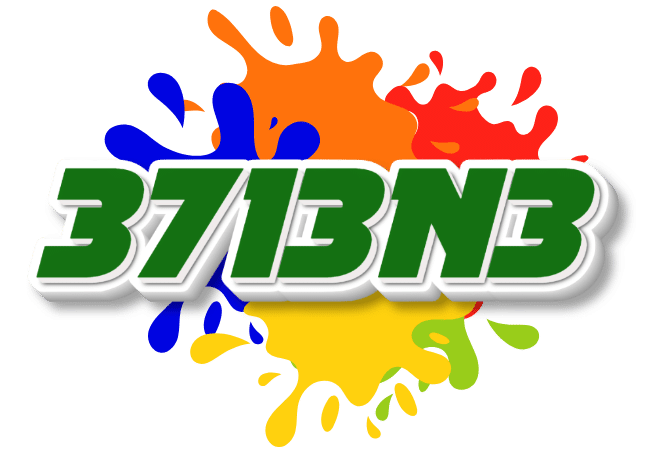 3713n3 logo